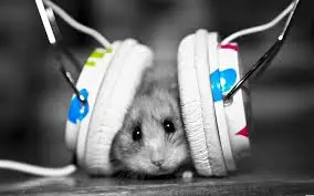 #-DUBSTEP-#