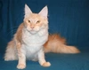 21annale015146 avatar