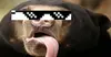OldStarSplitterAccount Small Avatar