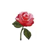 Rose Patch Avatar