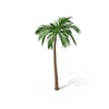A palm tree. Small Avatar