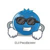 Proberry Small Avatar