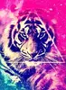 Galaxy Tiger Small Avatar