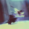 x0ayc Small Avatar
