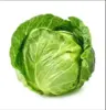 Cabbage Juice Small Avatar